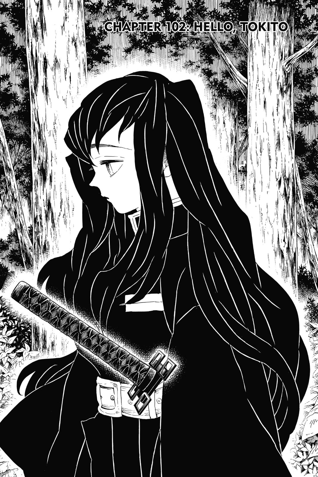 Read Demon Slayer Manga Online