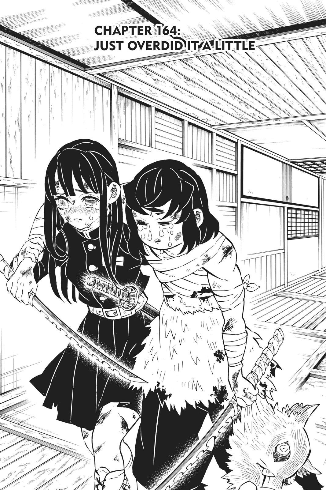 Read Demon Slayer Manga Online