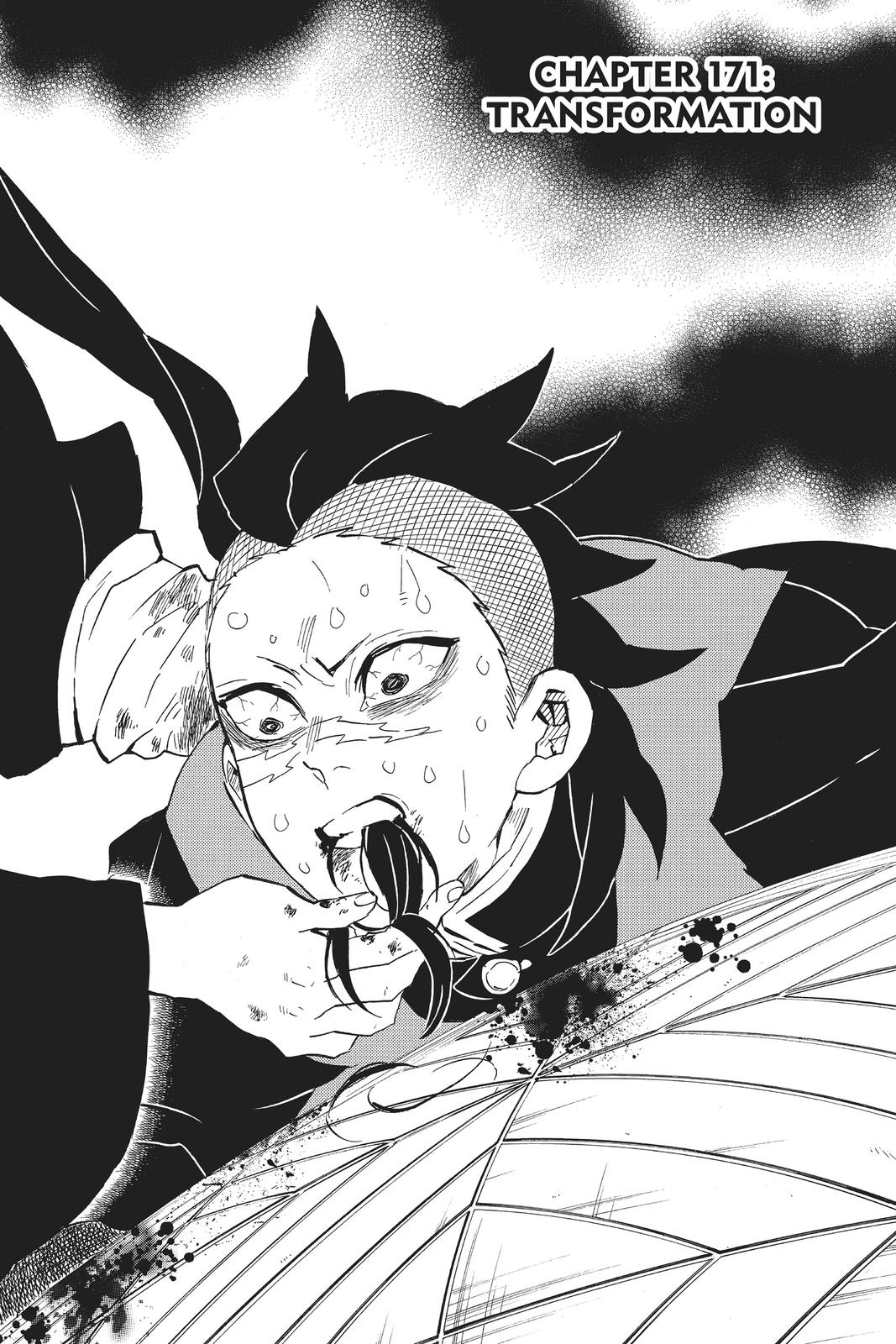 Read Demon Slayer Manga Online