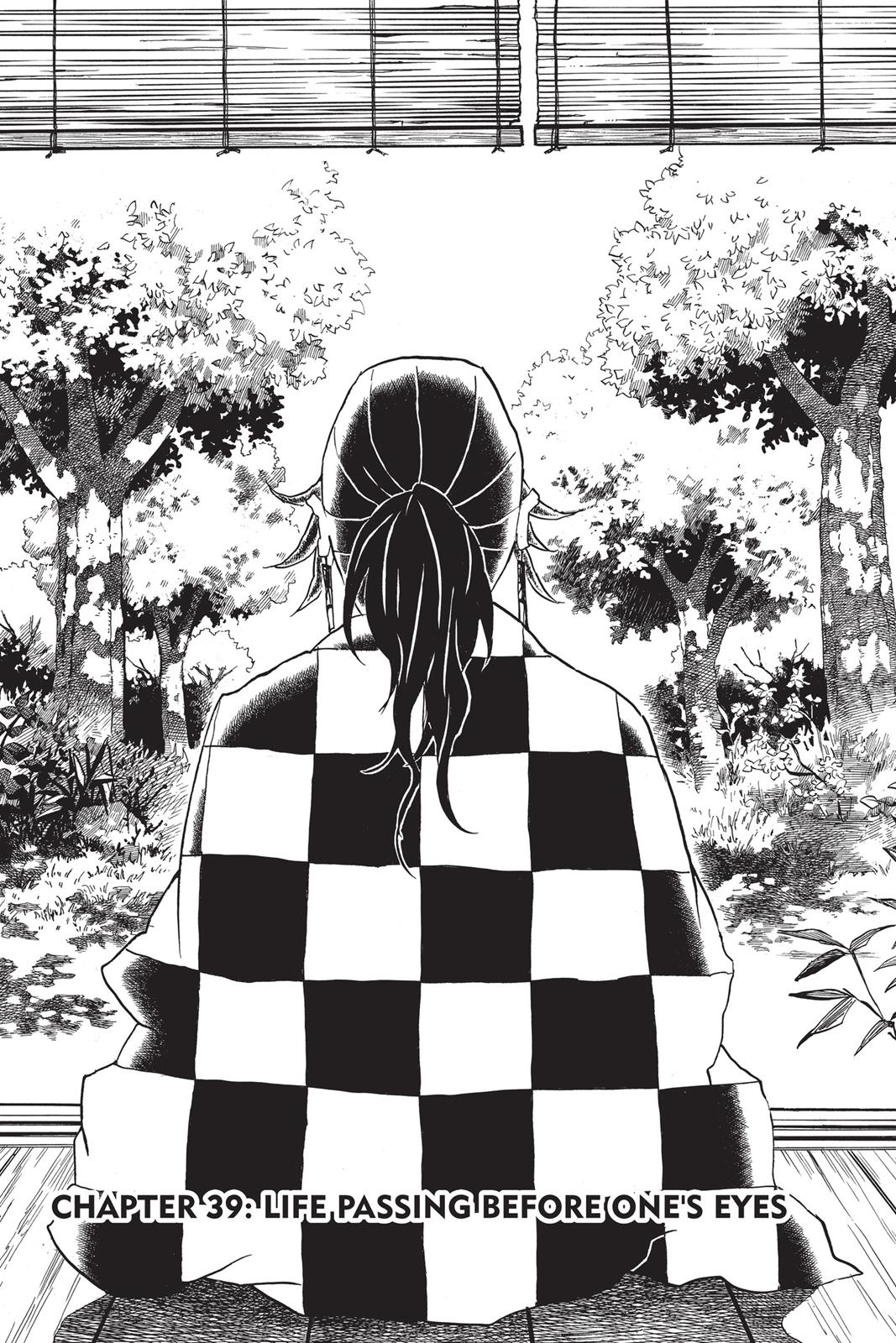Read Demon Slayer Manga Online