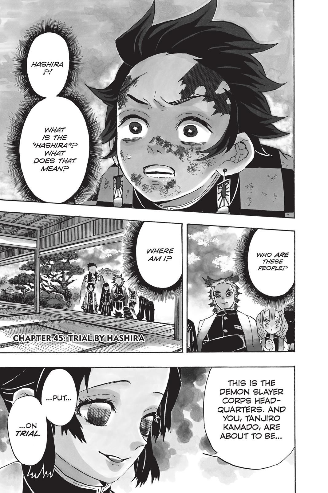 Read Demon Slayer Manga Online