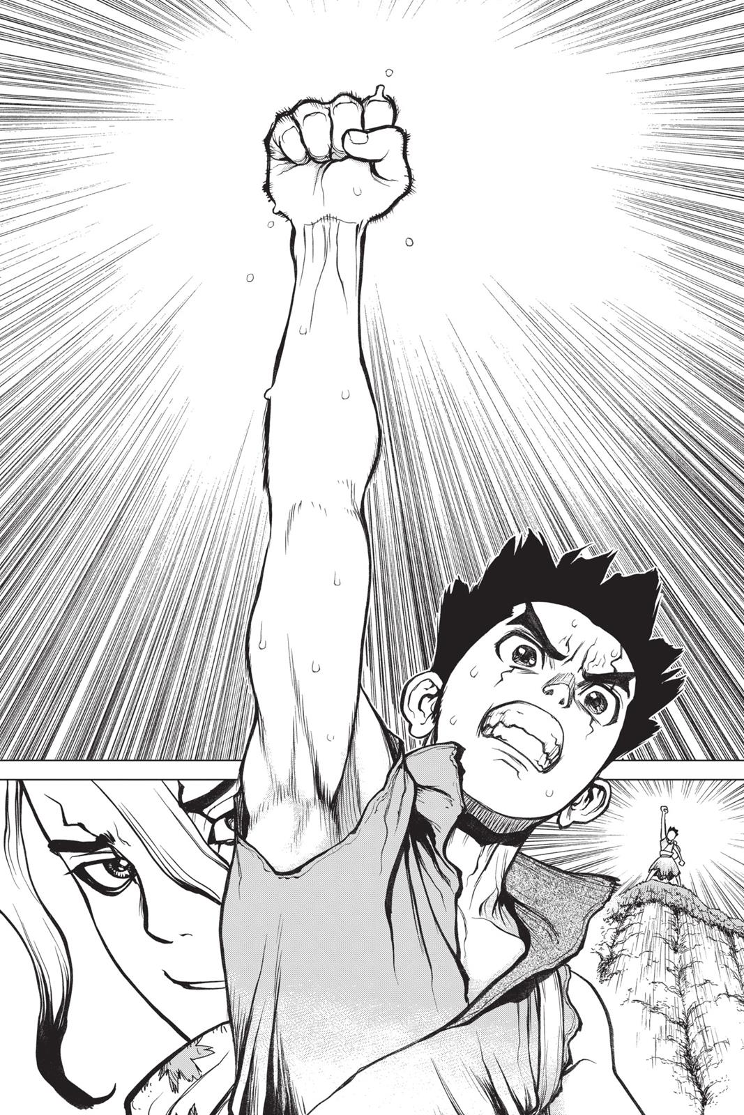 Read Dr STONE Manga Online