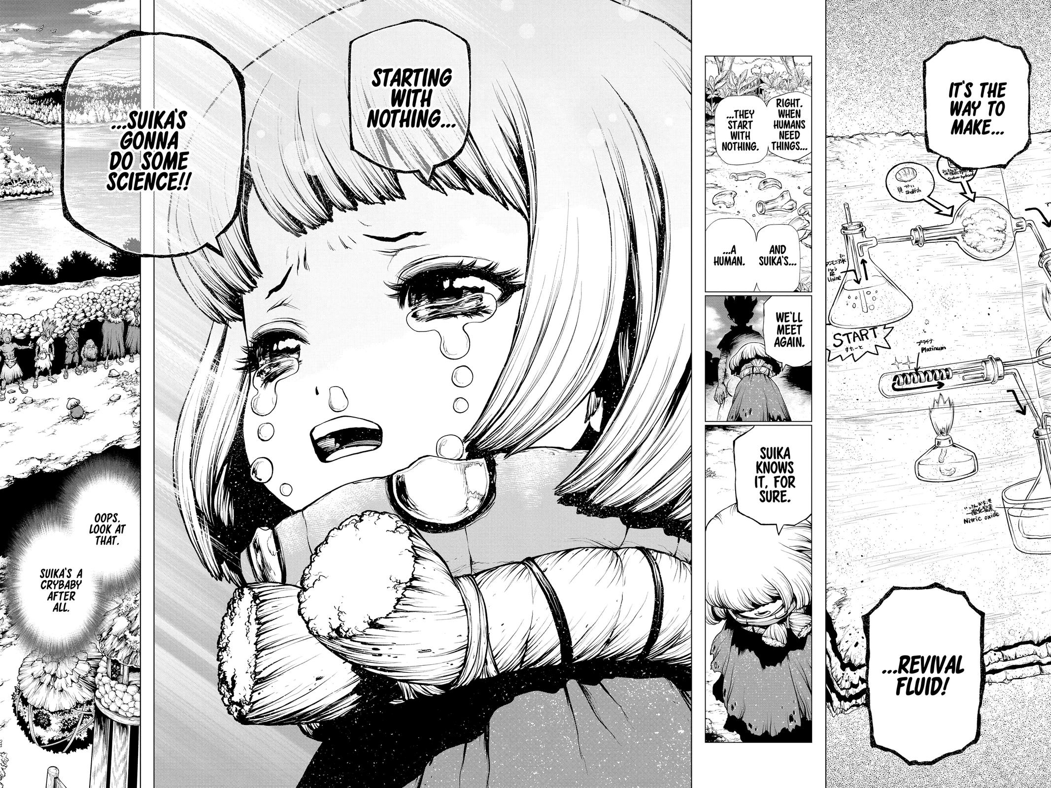 Read Dr STONE Manga Online