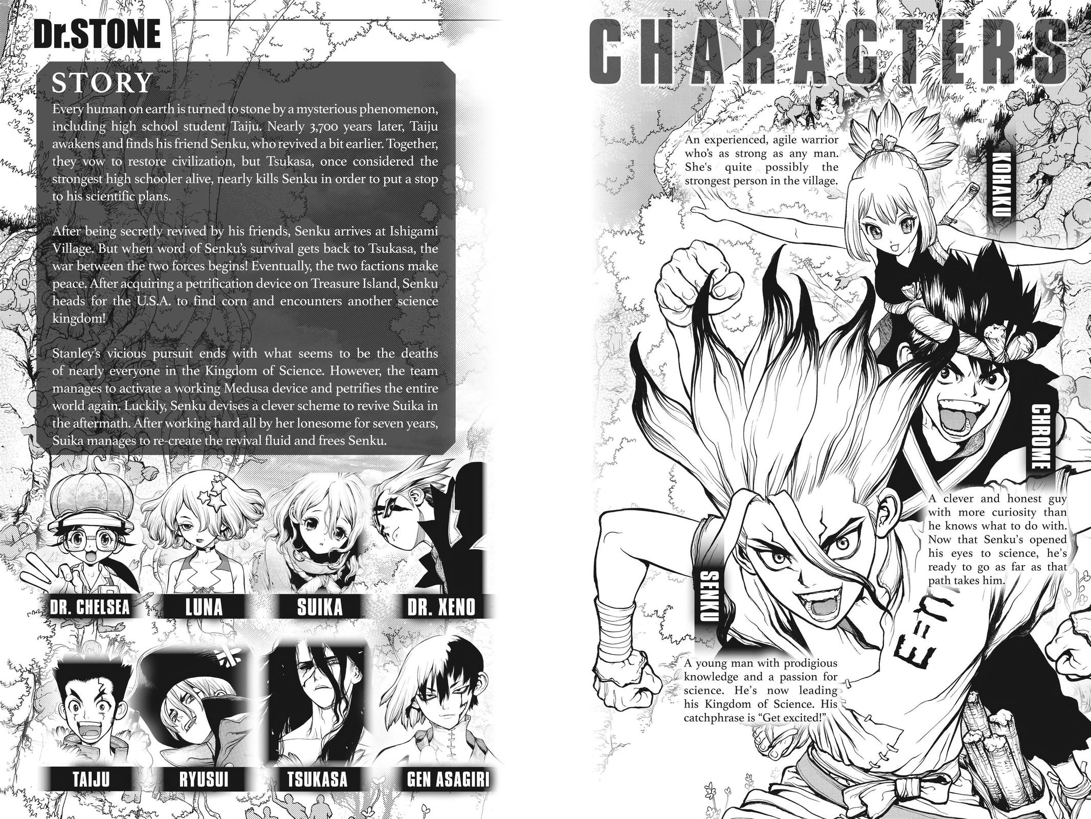 Read Dr STONE Manga Online