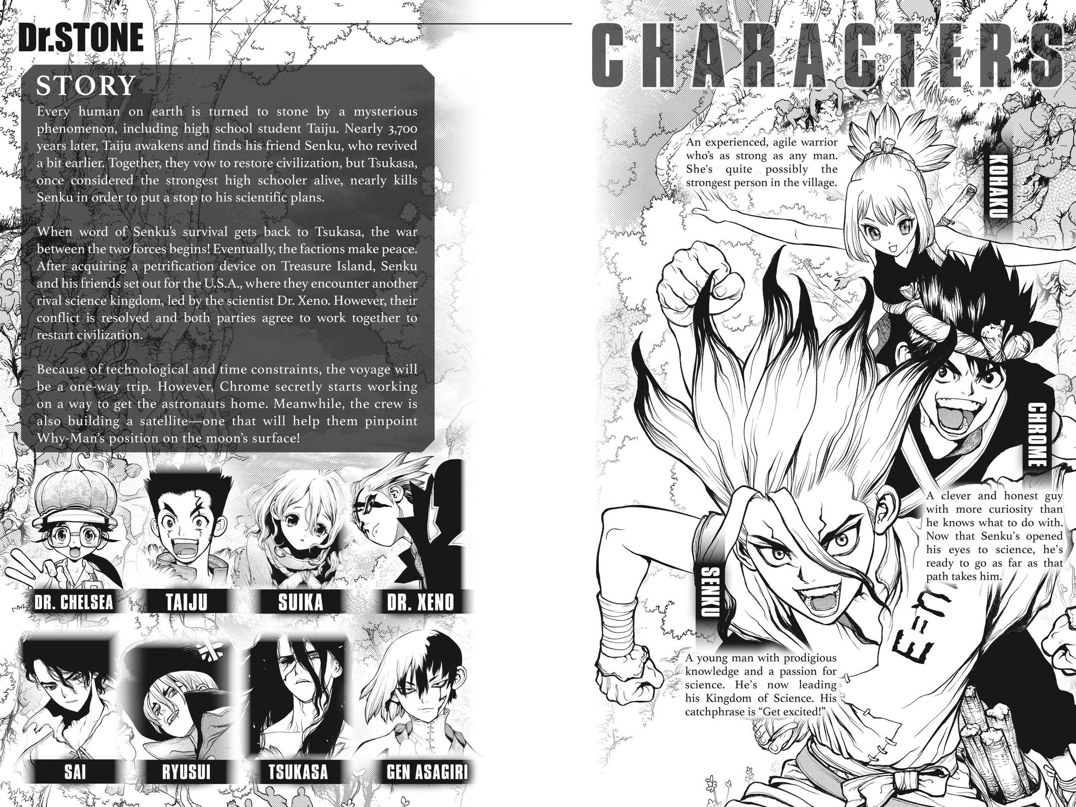 Read Dr STONE Manga Online
