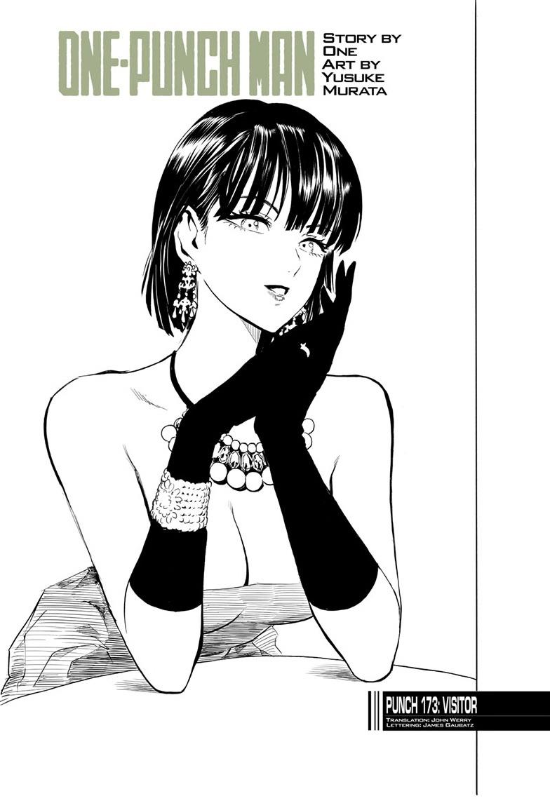 Read One Punch Man Manga Online