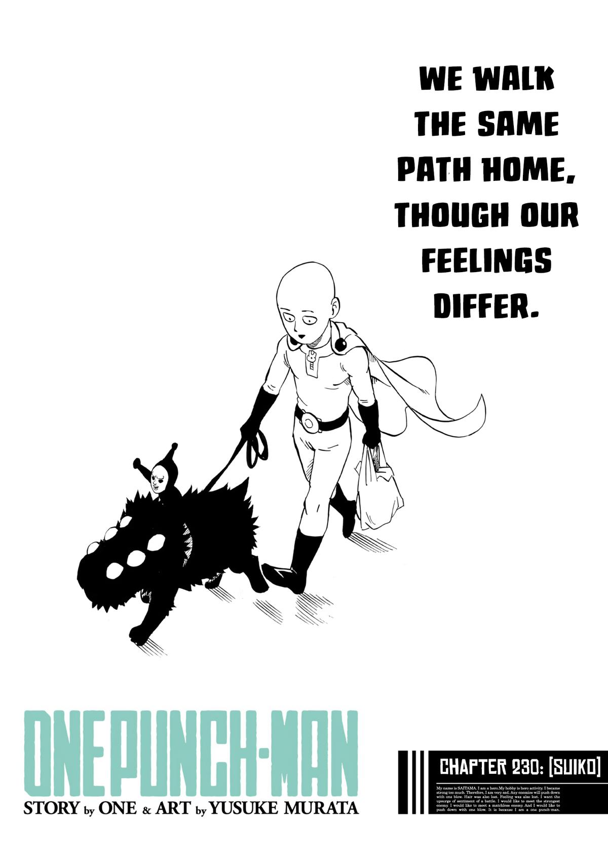 Read One Punch Man Manga Online