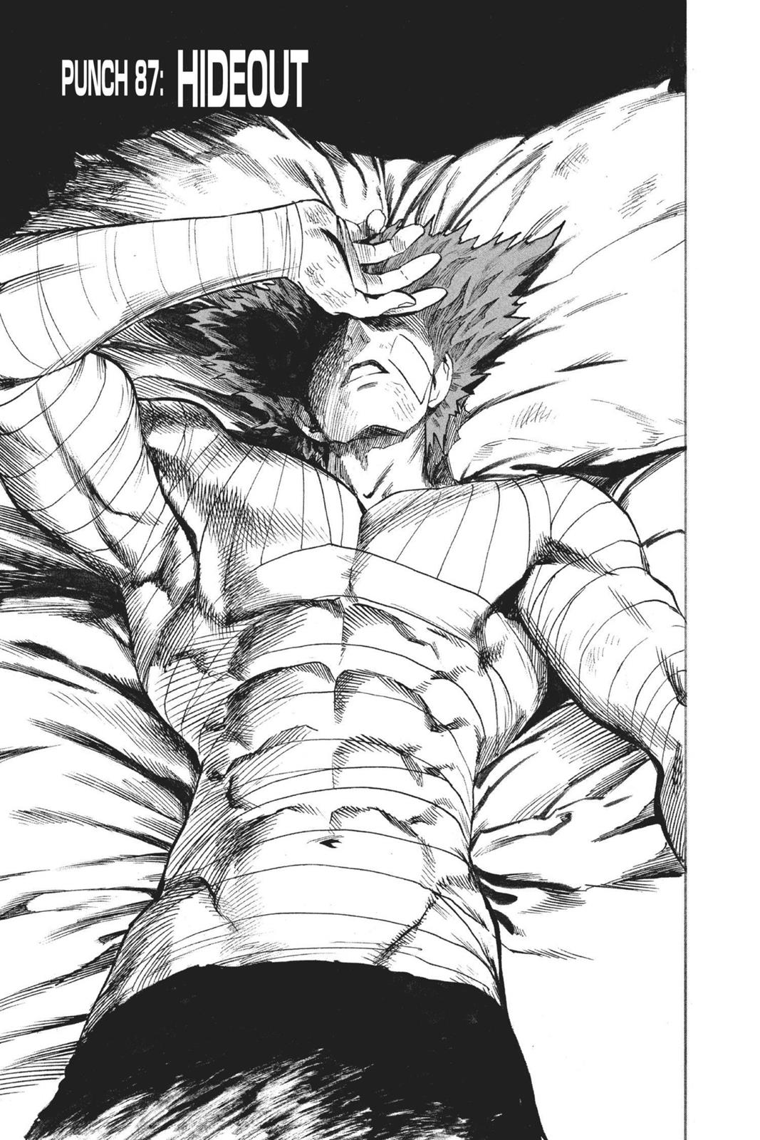 Read One Punch Man Manga Online