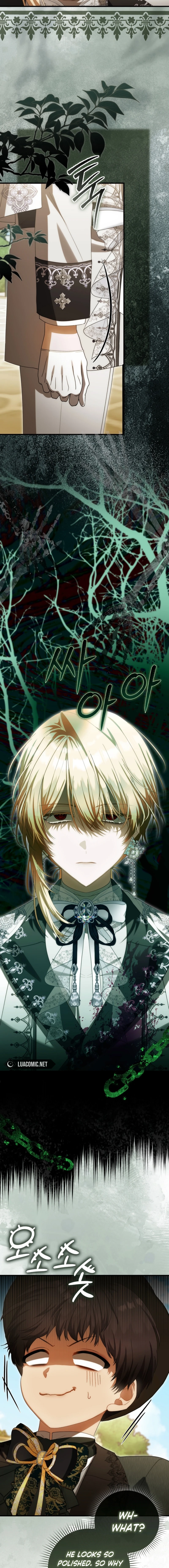 Read The Baby Fairy is a Villain Manga Online