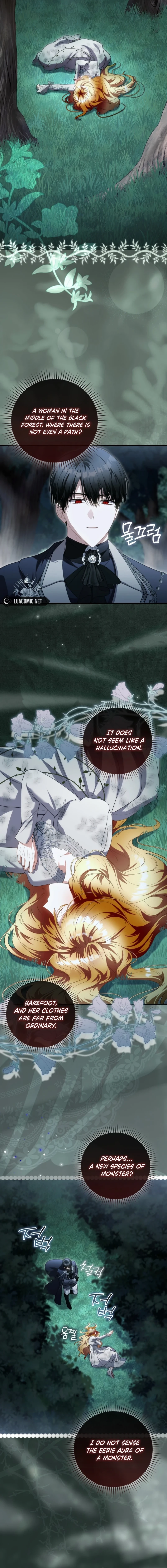 Read The Baby Fairy is a Villain Manga Online