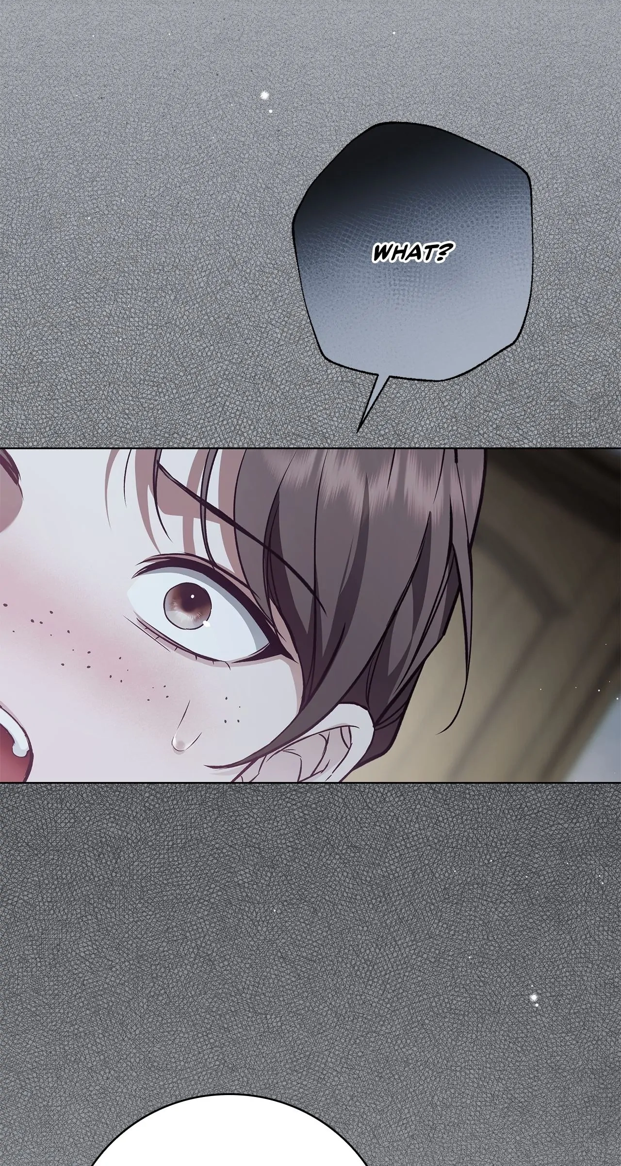 Read The Count's Secret Maid Manga Online