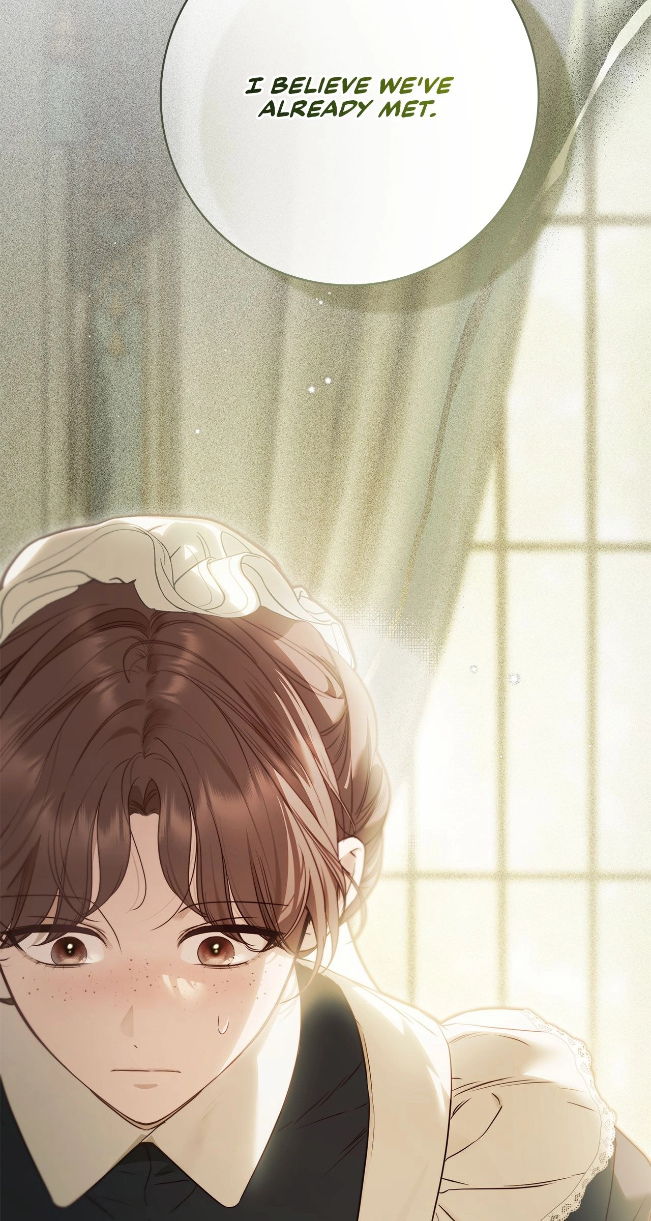 Read The Count's Secret Maid Manga Online