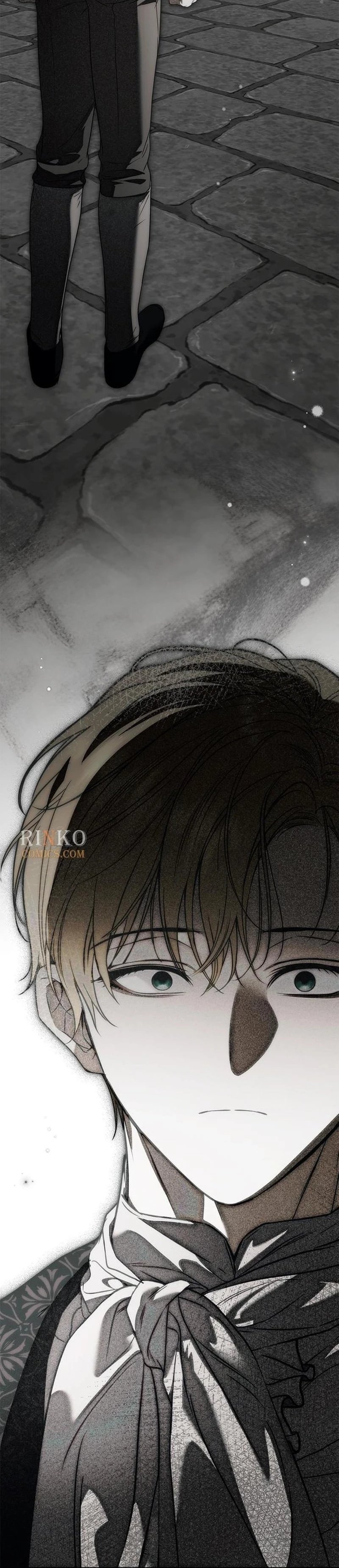 Read The Count's Secret Maid Manga Online