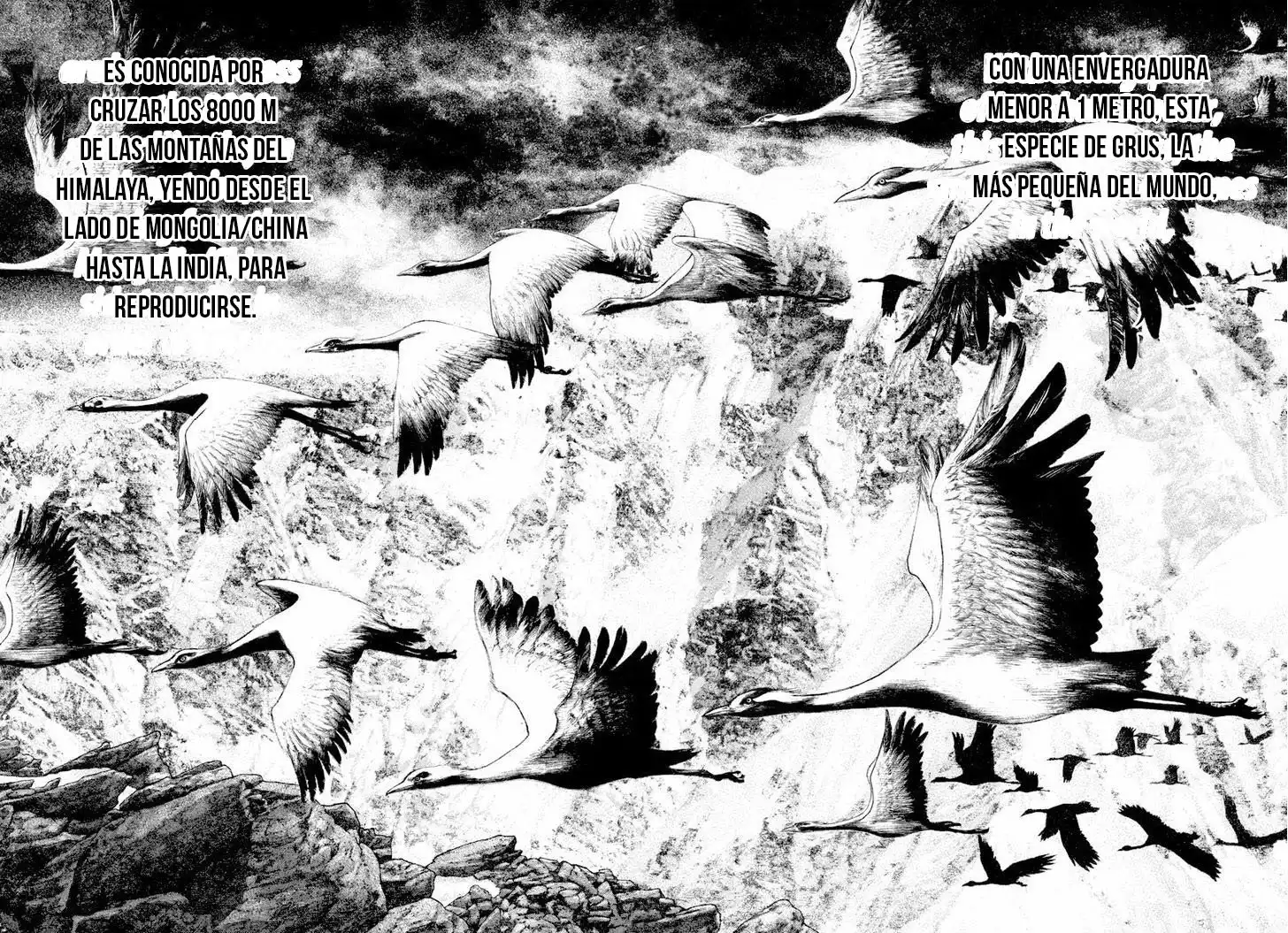 Read Kokou no Hito ES Manga Online