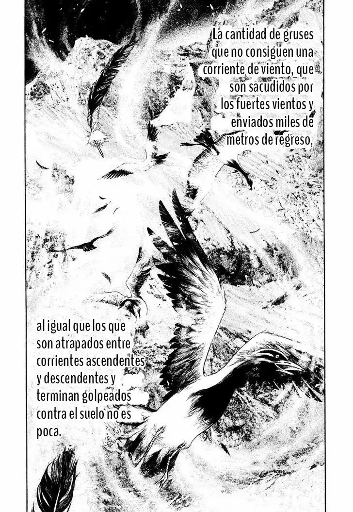 Read Kokou no Hito ES Manga Online