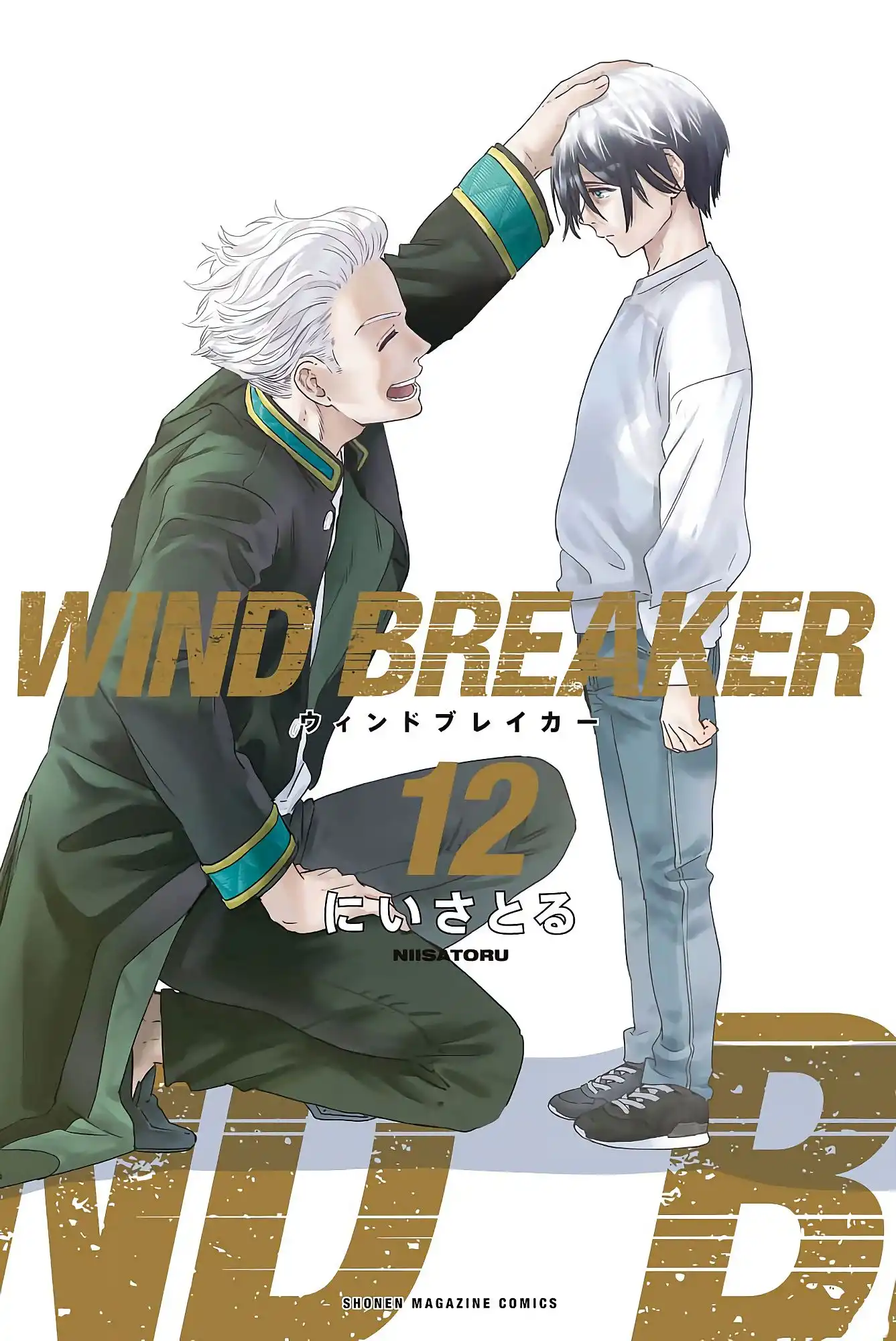 Read WIND BREAKER ES Manga Online